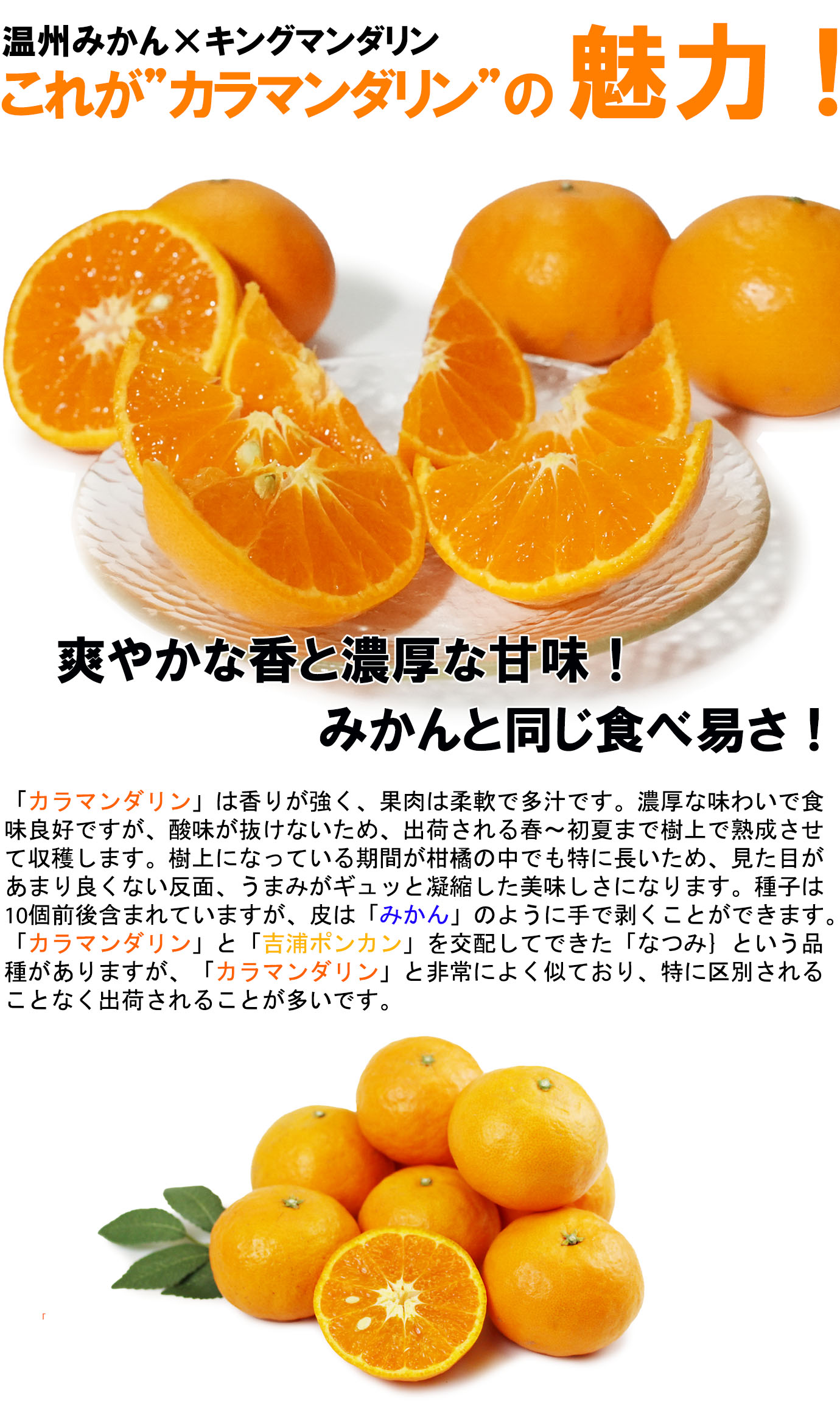 ��ɲ���������̼��� ����ޥ�����