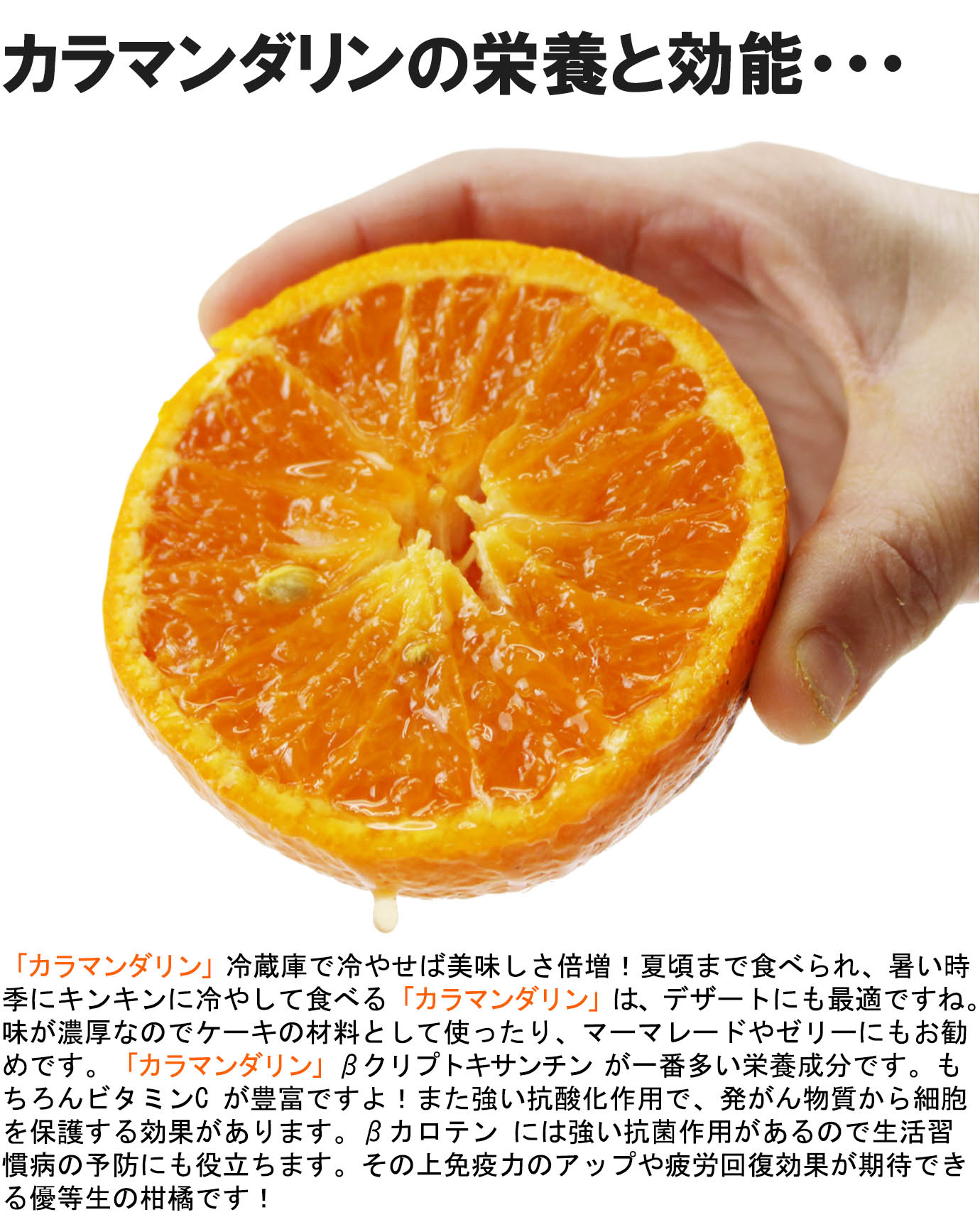 ��ɲ���������̼��� ����ޥ�����