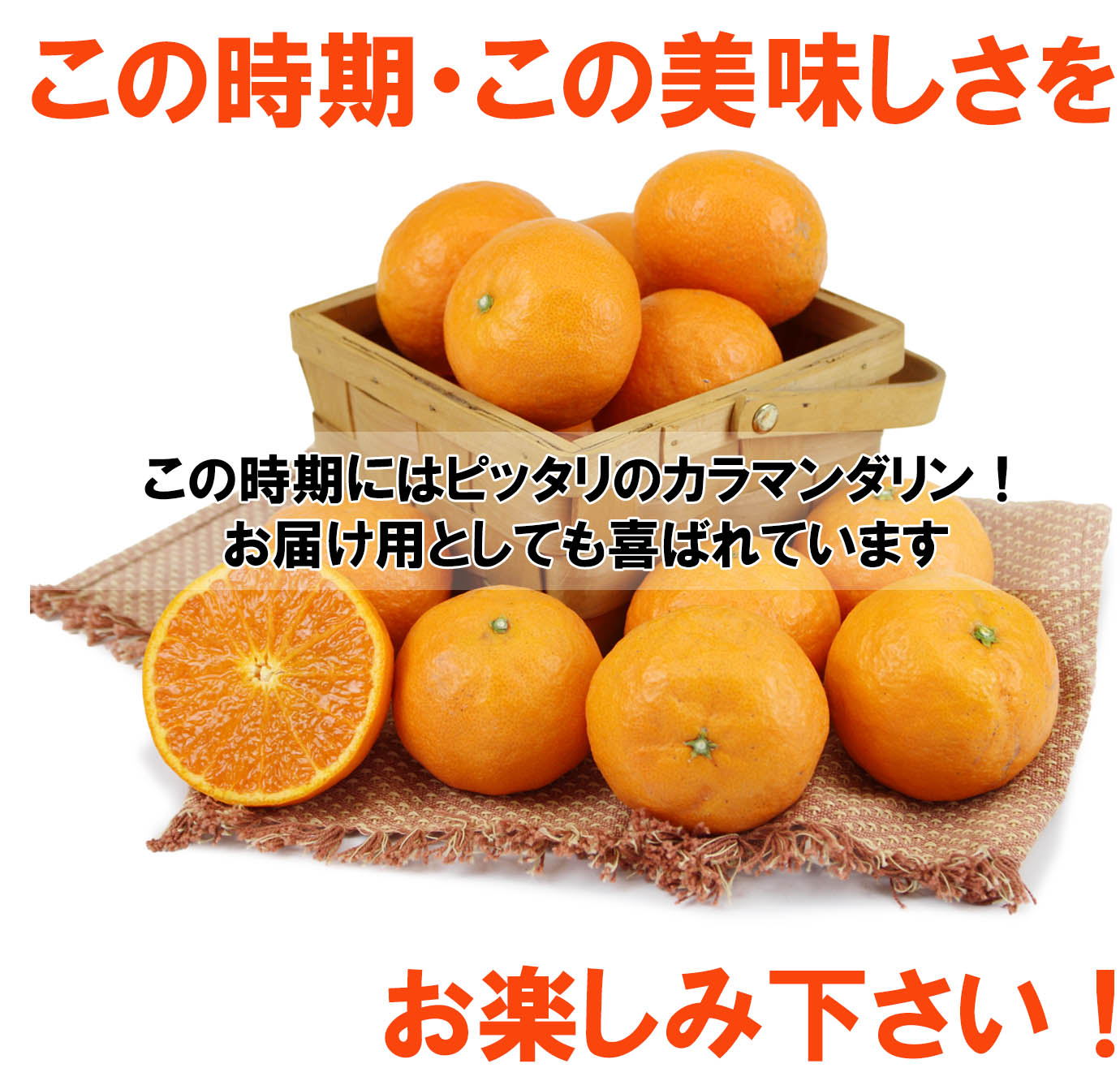 ��ɲ���������̼��� ����ޥ�����