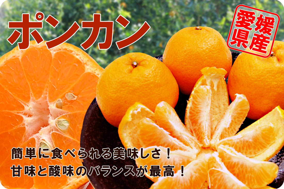 ��ɲ���������̼��� ��ɲ�ߤ���