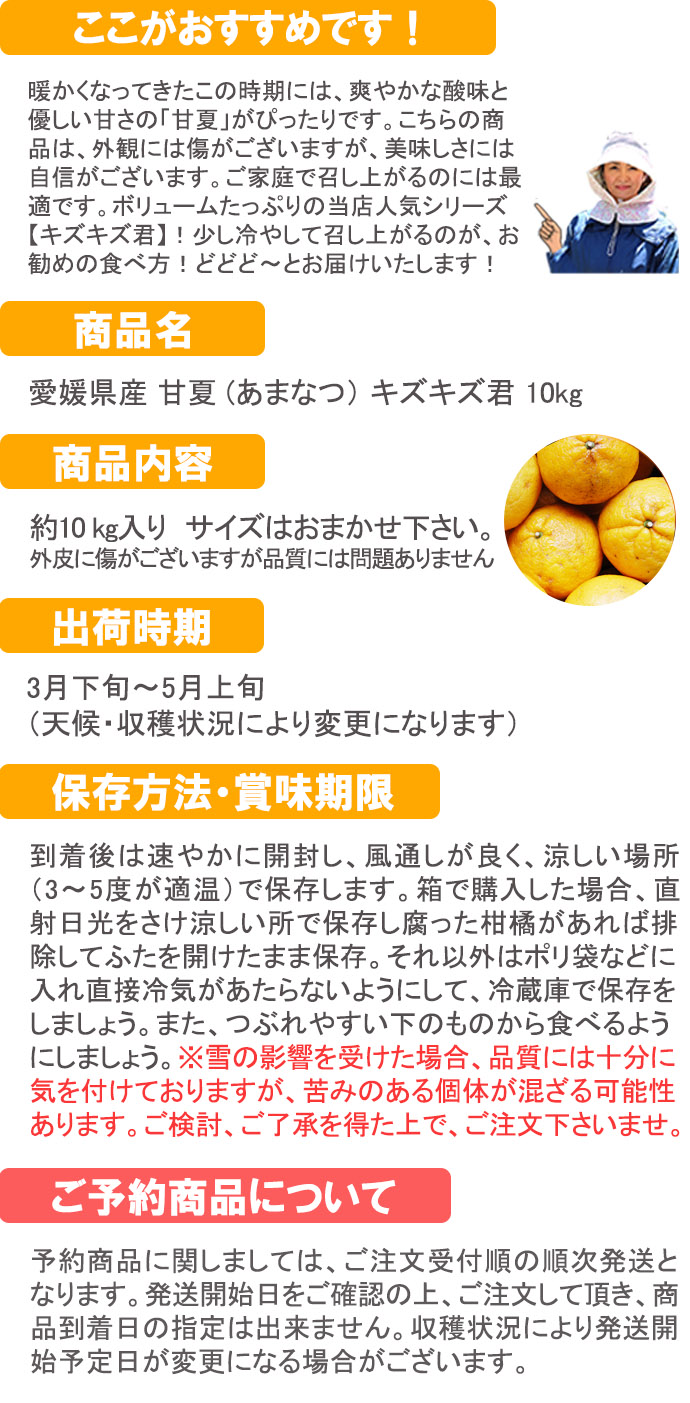 ��ɲ���������̼��� �Ųơʤ��ޤʤġ˥��������� 10���