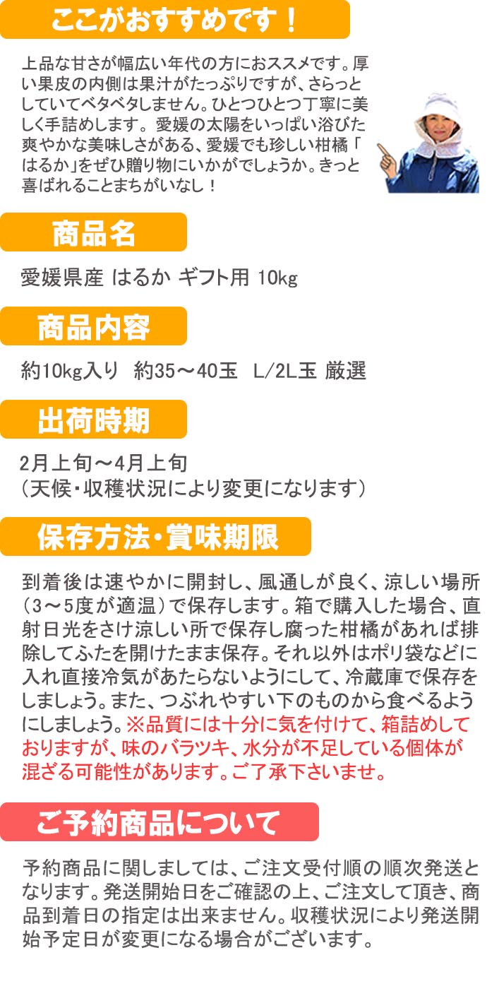 ��ɲ���������̼��� �Ϥ뤫 ���ե���10���