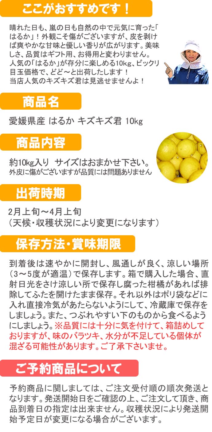 ��ɲ���������̼��� �Ϥ뤫 ����������10���