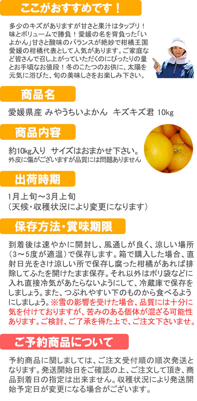 愛媛だいすけ果樹園 みやうちいよかん キズキズ君10ｋｇ