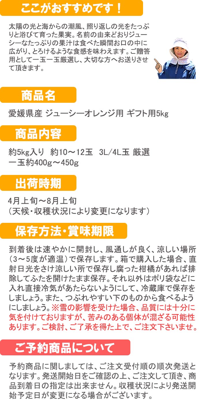 愛媛だいすけ果樹園  ジューシーオレンジ　ギフト用5ｋｇ