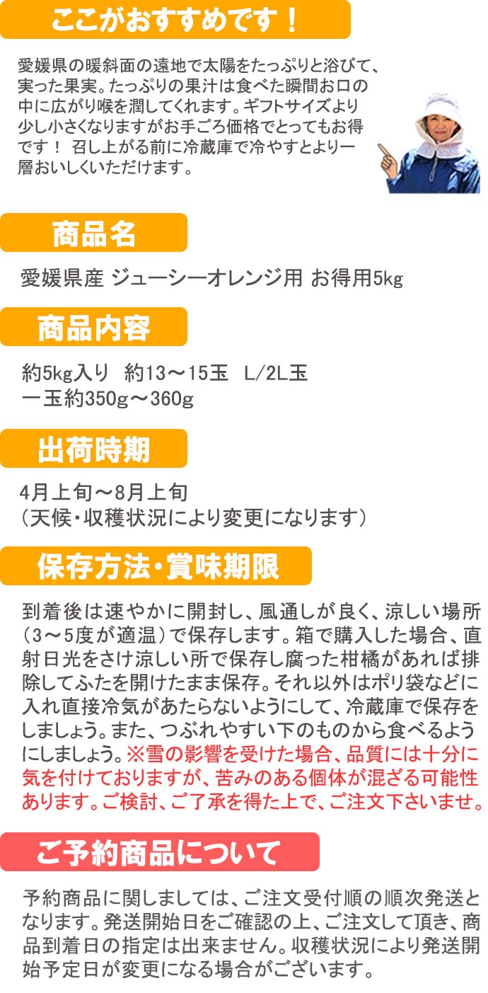 愛媛だいすけ果樹園  ジューシーオレンジ　お得用5ｋｇ