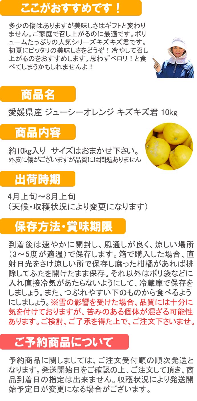 愛媛だいすけ果樹園  ジューシーオレンジ　キズキズ君10ｋｇ
