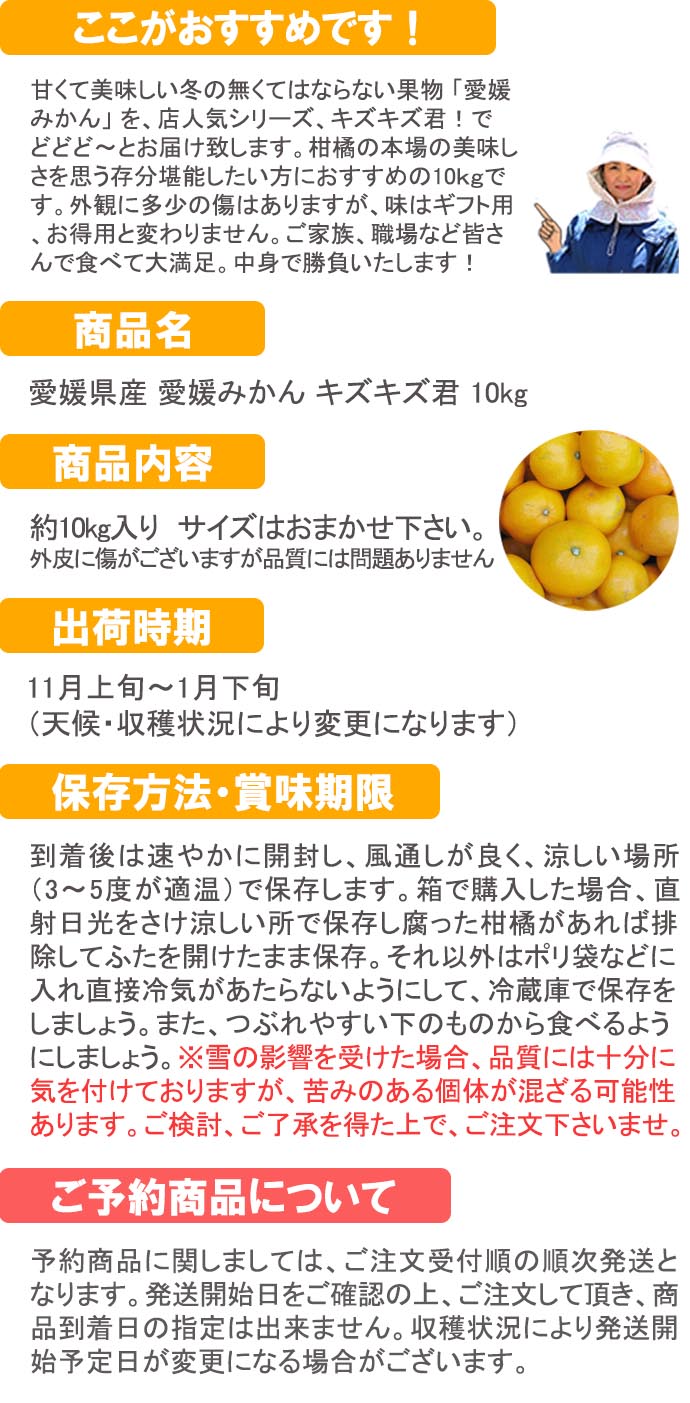 愛媛だいすけ果樹園 愛媛みかん キズキズ君10ｋｇ