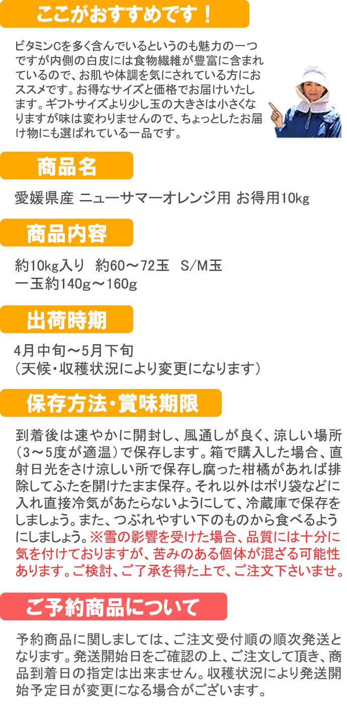 ��ɲ���������̼��� �˥塼���ޡ������ ������10���