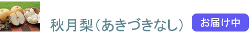 ʤʤ