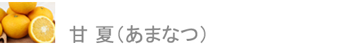  ơʤޤʤġ
