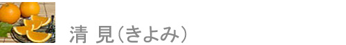 ʤߡ