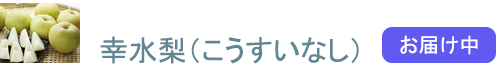ʤʤ