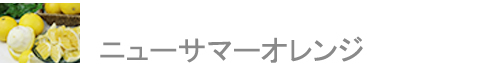 ˥塼ޡ
