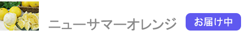 ˥塼ޡ
