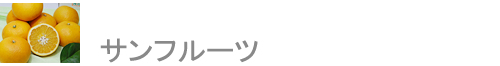 ե롼