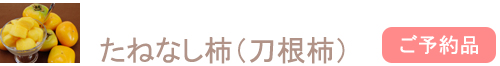 ͤʤ
