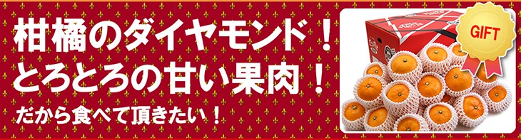 愛媛だいすけ果樹園　せとか　ギフト