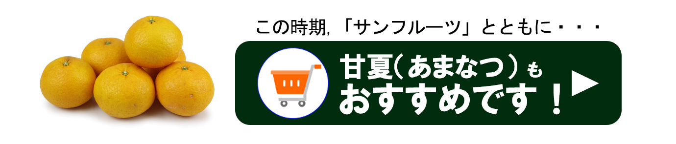 ��ɲ���������̼��� ����ե롼��