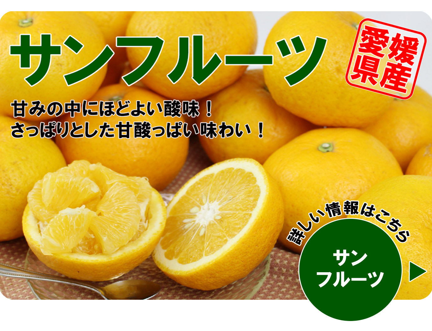 ����ե롼��