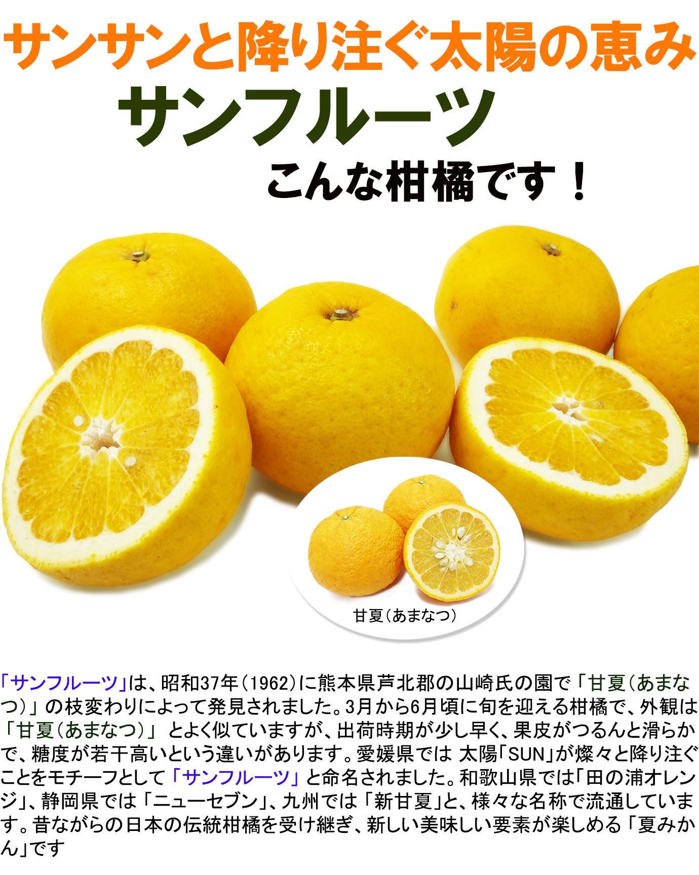 ��ɲ���������̼��� ����ե롼��