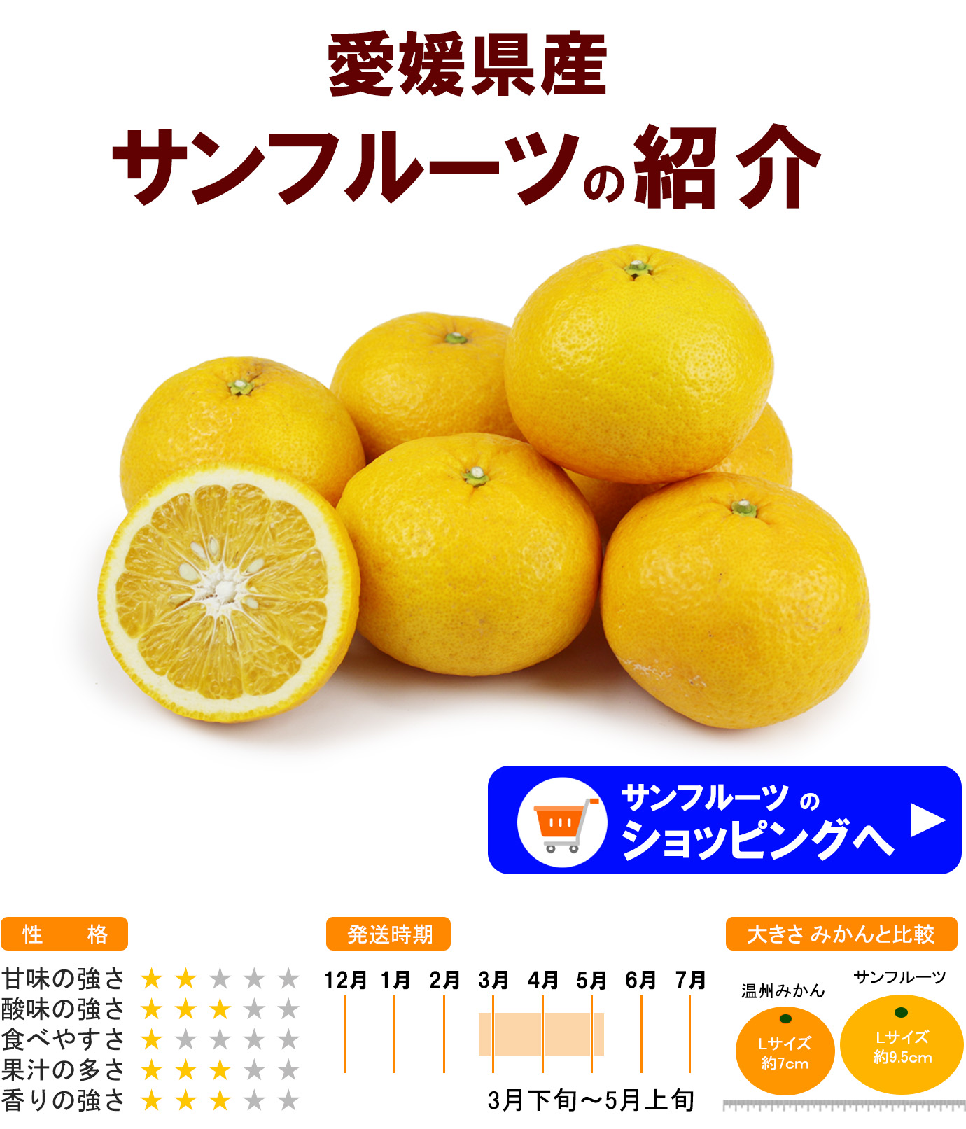 ��ɲ���������̼��� ����ե롼��