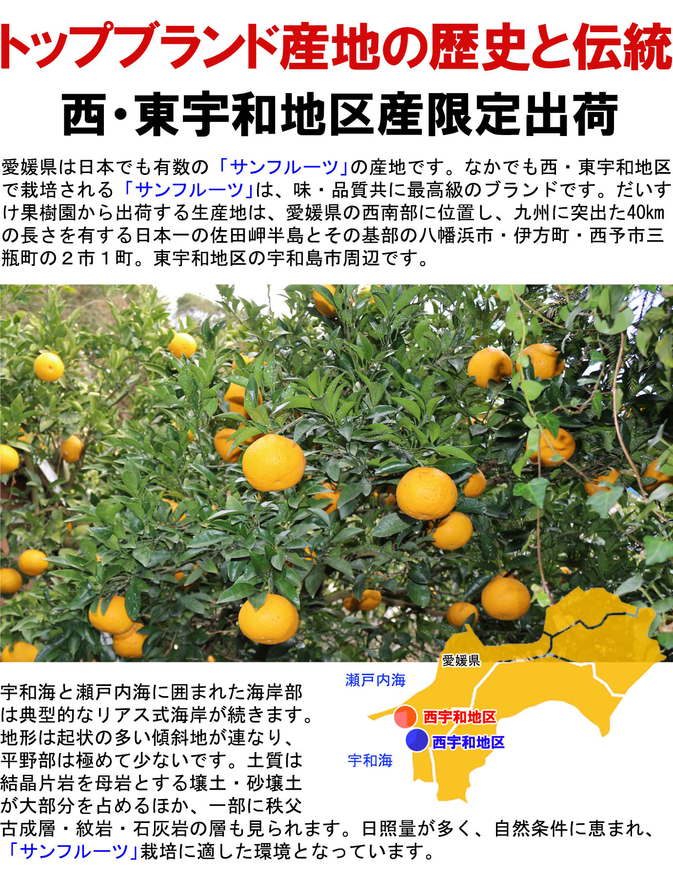 ��ɲ���������̼��� ����ե롼��