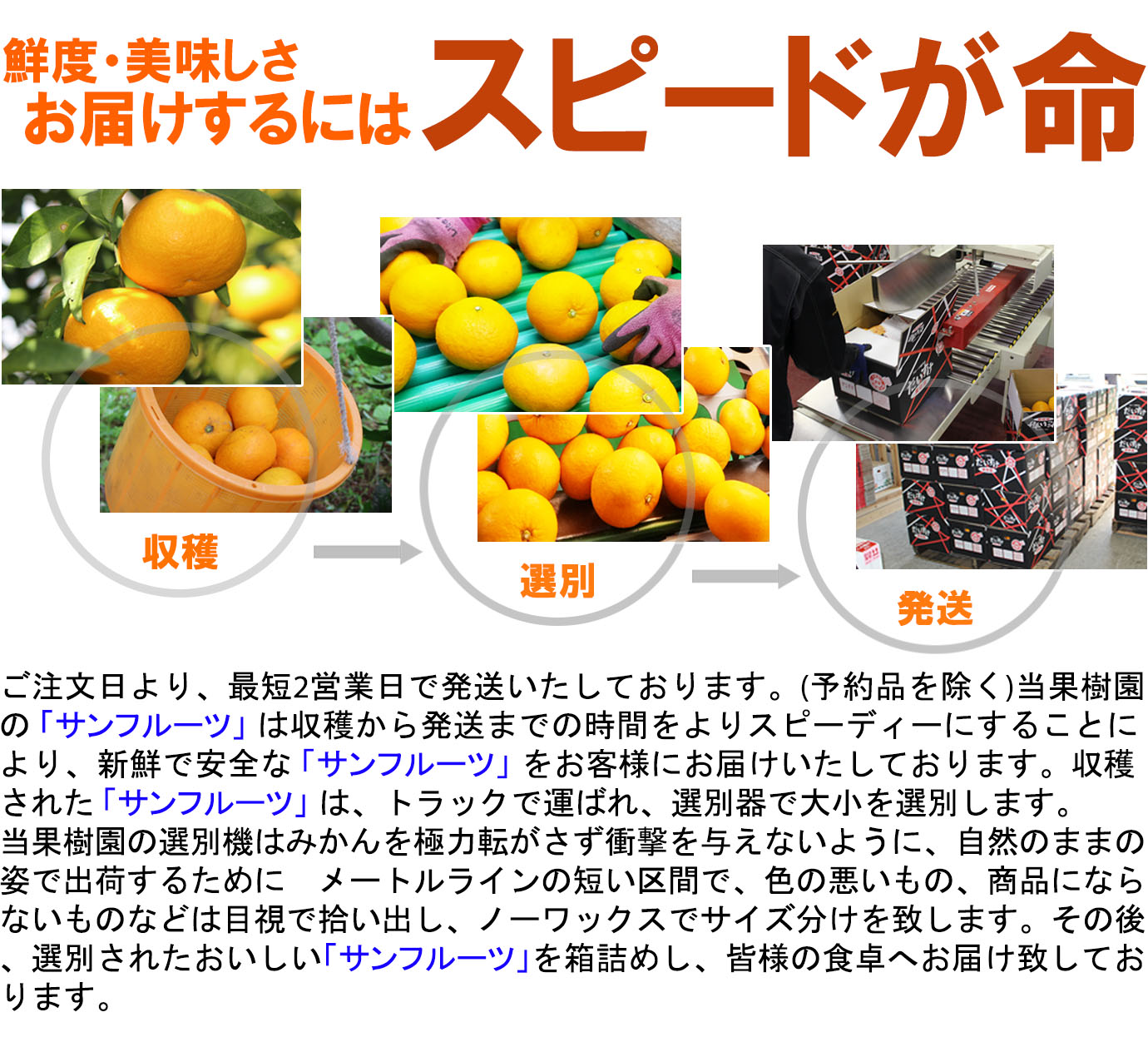 ��ɲ���������̼��� ����ե롼��