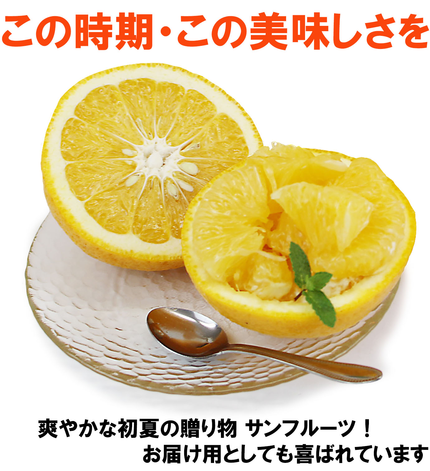 ��ɲ���������̼��� ����ե롼��