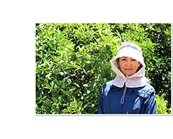 愛媛だいすけ果樹園