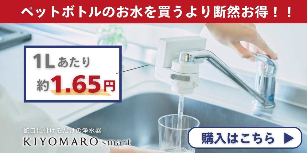 スマートお試し