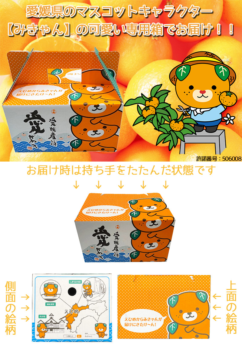 紅まどんな あいか 送料無料 愛媛県 愛媛まどんな みきゃん箱 2Lサイズ