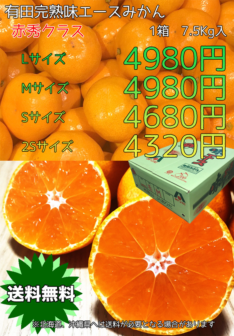 みかん 送料無料 有田 7.5Kg 和歌山県産 有田 完熟 味エース みかん 赤秀 Mサイズ 7.5kg 贈答用 和歌山 お歳暮 ギフト 糖度保証【予約  11月中旬頃から】 :citrus010-ajiace05:大和屋 旬果庵 - 通販 - Yahoo!ショッピング