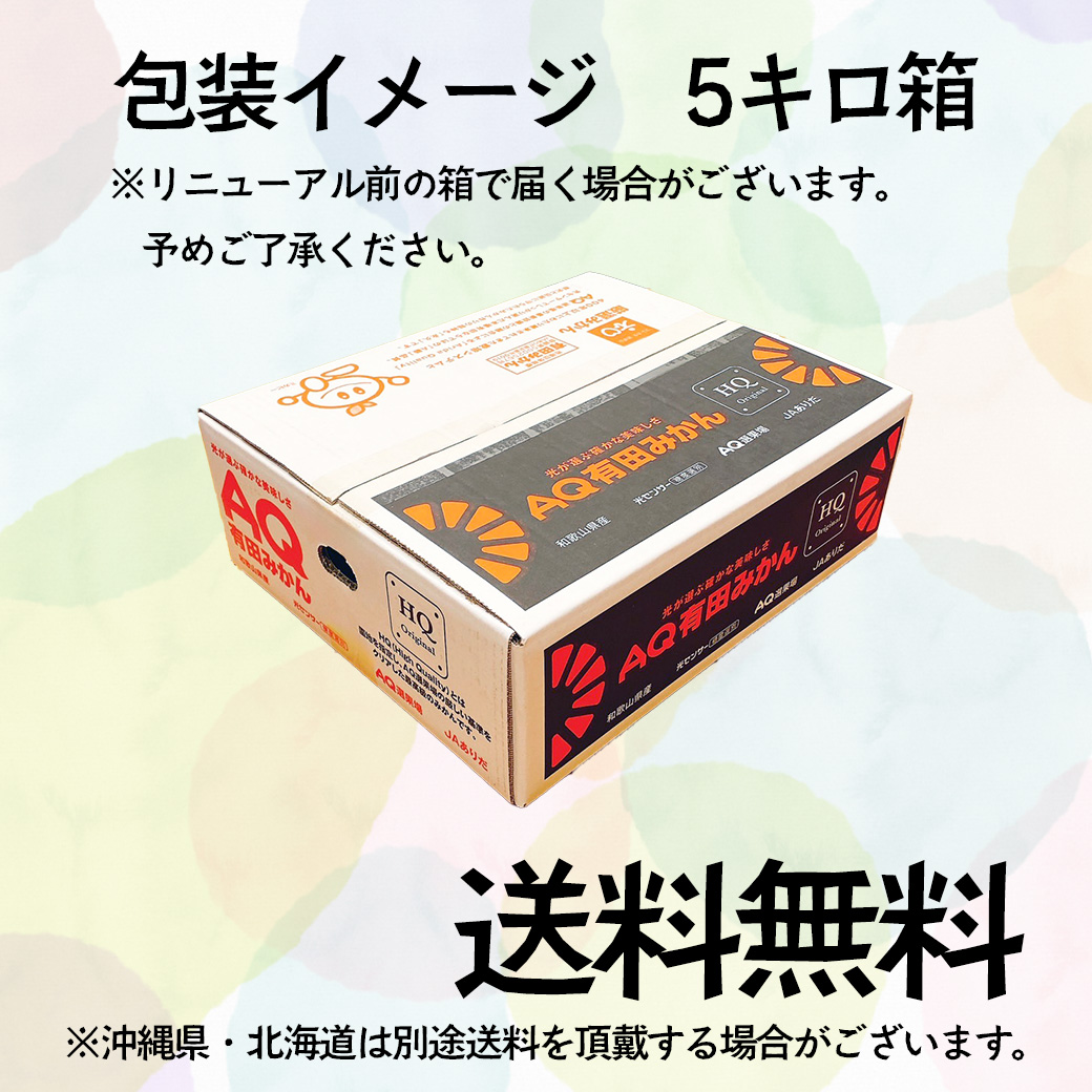 農家のだんな★有田みかん 5kg★小玉 販売中 みかん 5Kg 小玉 有田 ミカン 和歌山県産 HQみかん Lサイズ 園地指定