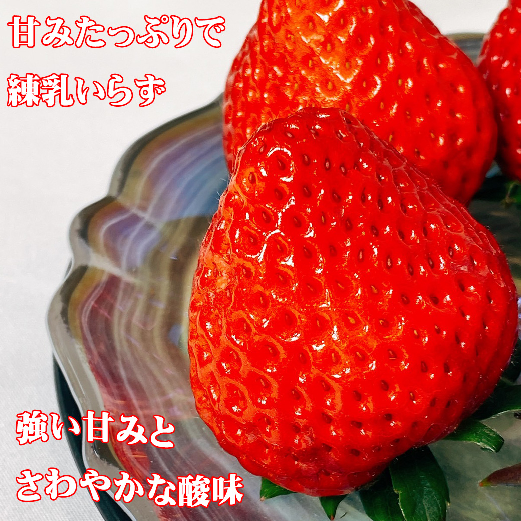 あまりん いちご イチゴ 苺 埼玉県産 DX 2パック入り フルーツ 果物