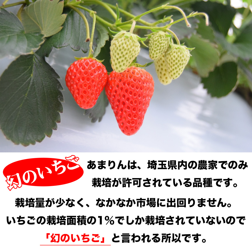あまりん いちご イチゴ 苺 埼玉県産 DX 2パック入り フルーツ 果物
