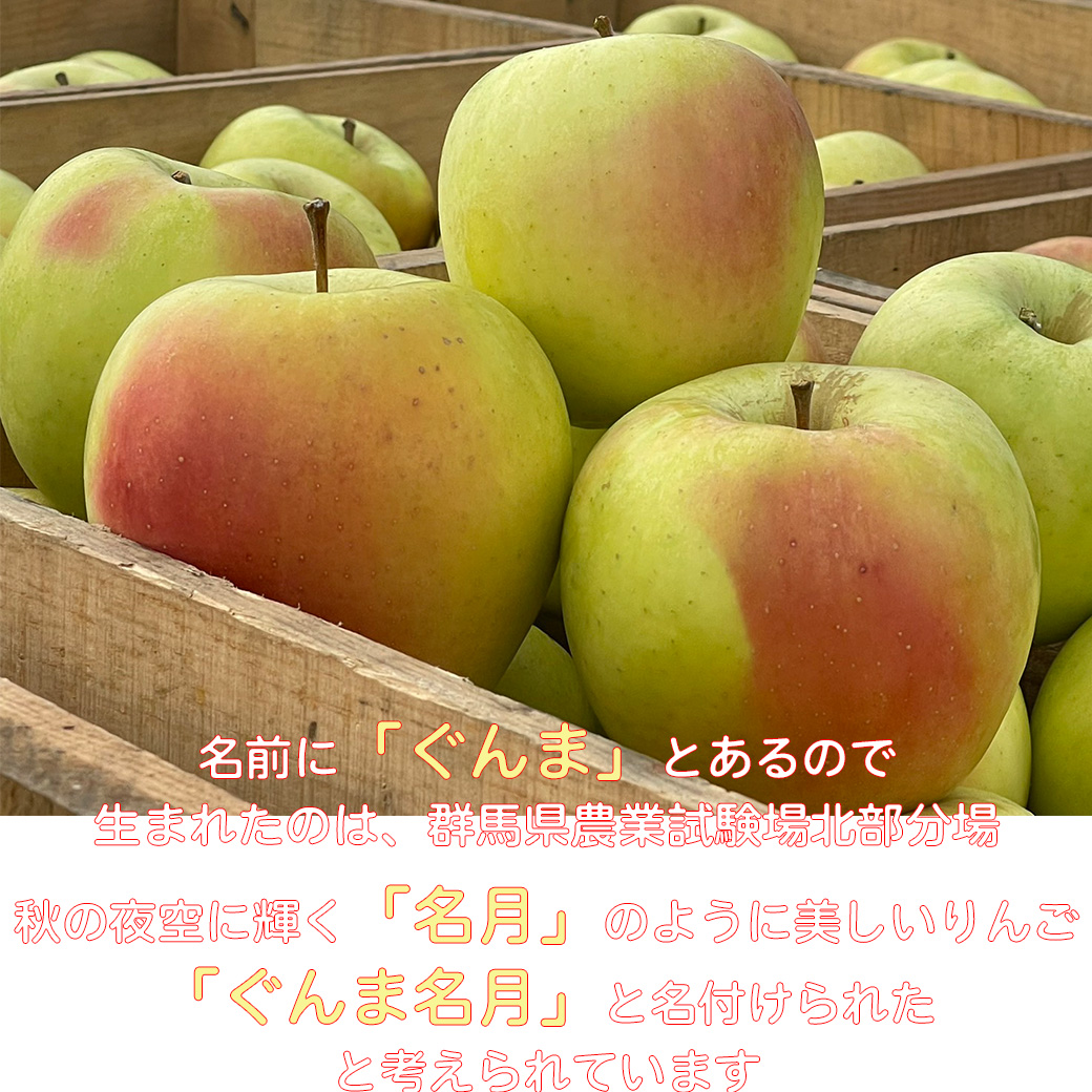 テレビで紹介された りんご 訳りんご 林檎 リンゴ 10kg 青森県産