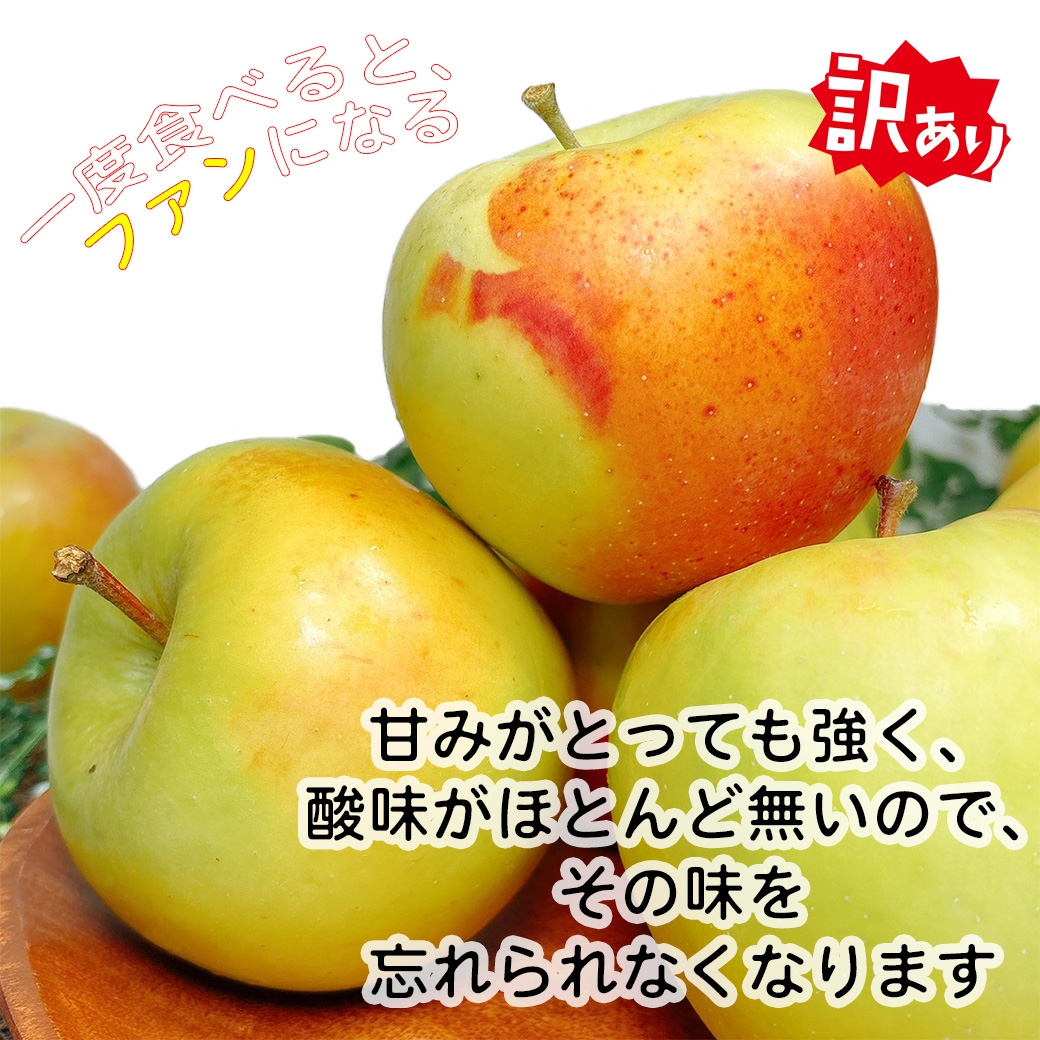 テレビで紹介された りんご 訳りんご 林檎 リンゴ 10kg 青森県産