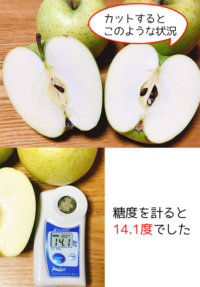 りんご 訳あり 約10kg 送料無料 青森県産王林りんご 約10kg 訳あり 糖度保証 :apple070-020:大和屋 旬果庵 - 通販 -  Yahoo!ショッピング