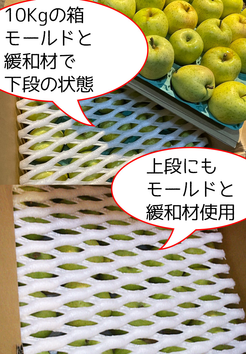 りんご 訳あり 約10kg 送料無料 青森県産王林りんご 約10kg 訳あり 糖度保証 :apple070-020:大和屋 旬果庵 - 通販 -  Yahoo!ショッピング