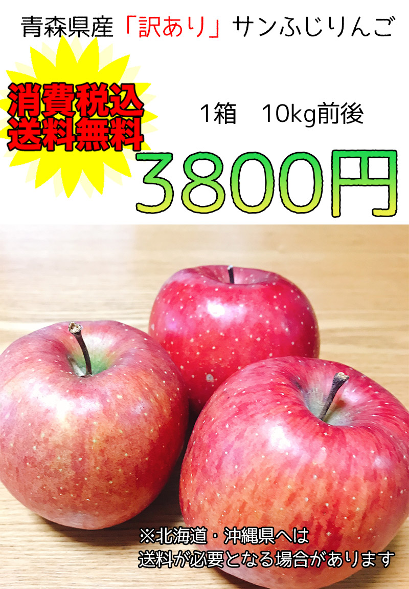 89%OFF!】 無農薬リンゴ 津軽 １．７キロ ３３００円