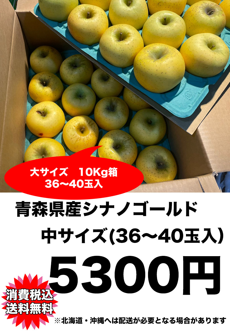 りんご 訳あり 10kg 青森県 シナノゴールド 中玉 36-40玉入 常温便は