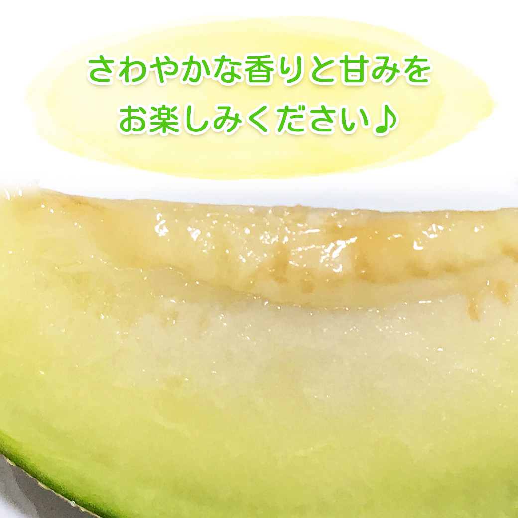 長崎県島原半島産タカミメロン6玉入×2箱(ミックス) 楽天市場】【ふるさと納税】【5月下旬より順次発送】 タカミ