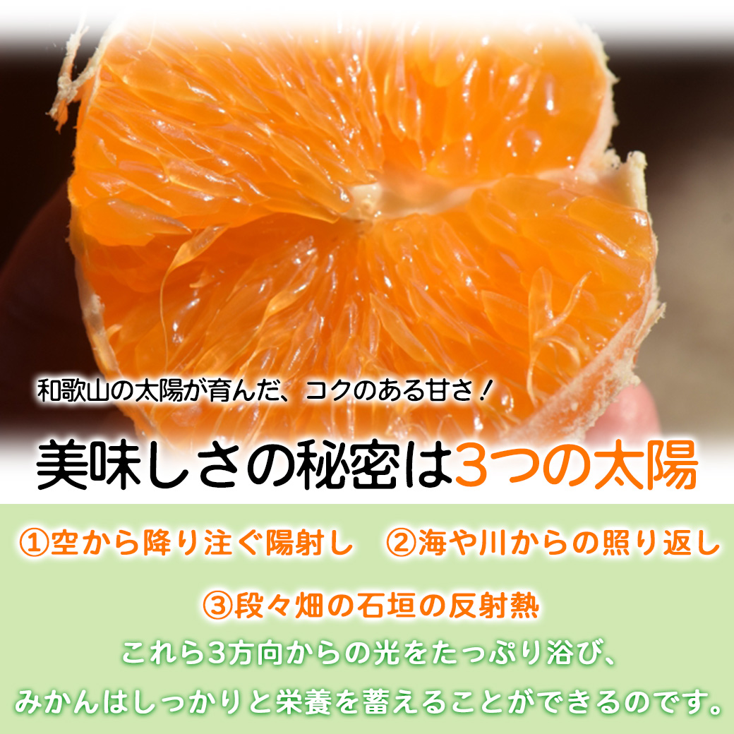 903)数量限定 甘すぎる 有田みかん 果物 みかん 小玉 旬 ZJ6097_果物