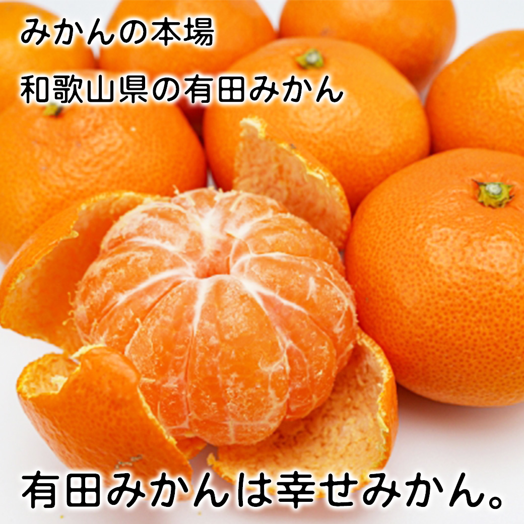 セール みかん 10kg 甘いみかん 有田 AQ 送料無料 和歌山 秀品 Mサイズ