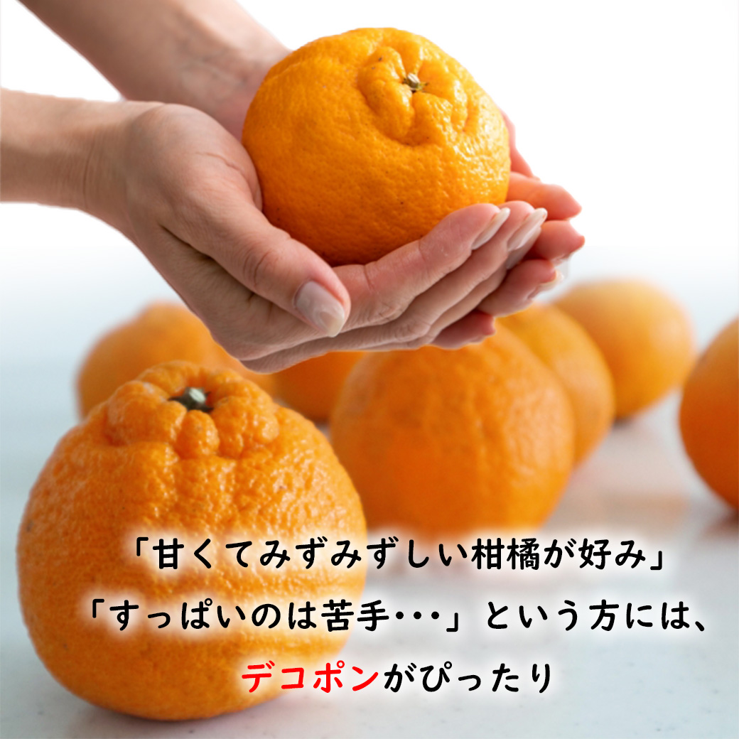 デコポン 有田 不知火 みかん 送料無料 3kg 和歌山県産 秀品 約3kg