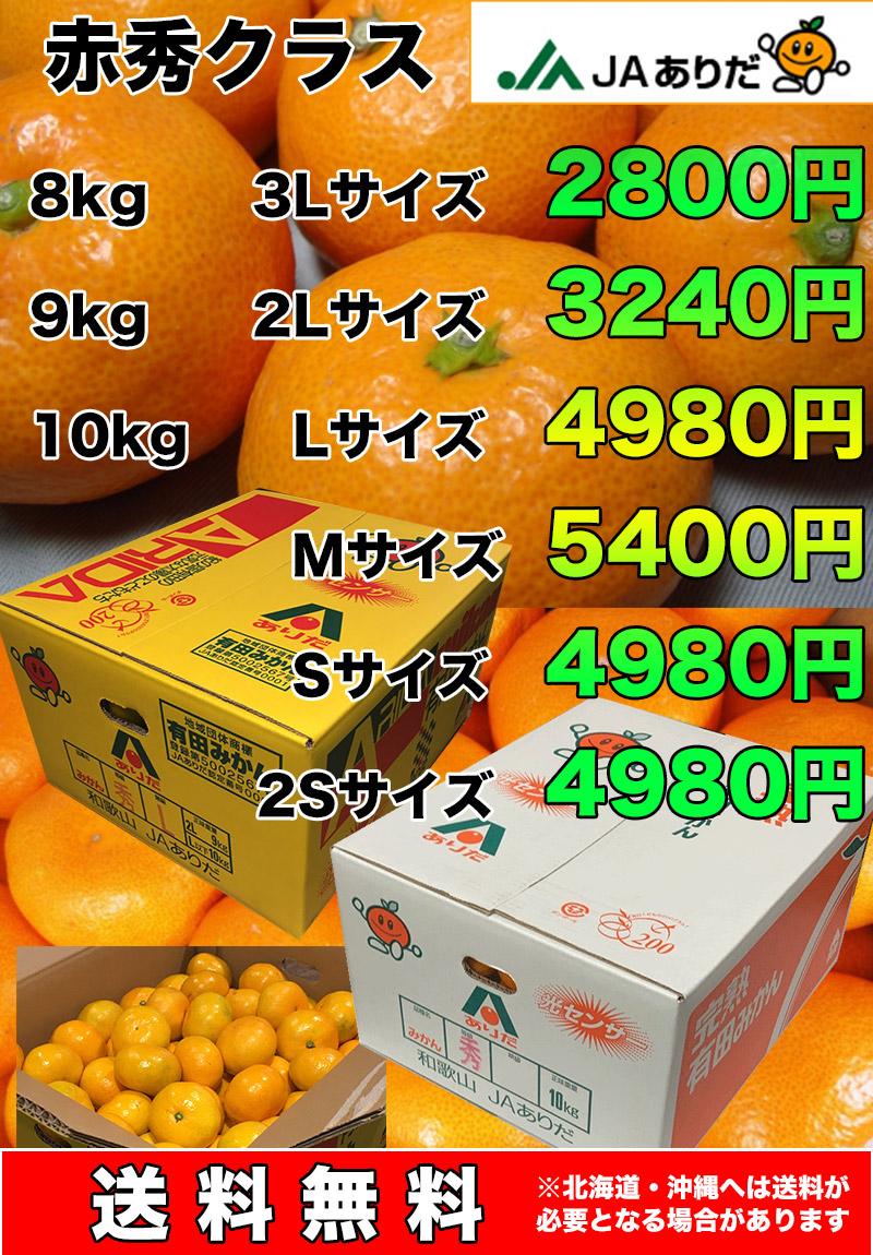 みかん 10kg 有田 送料無料 和歌山 有田 みかん 赤秀 Mサイズ 10kg 贈答用 ギフト 和歌山 有田みかん お歳暮 ギフト【10月下旬頃から】  :citrus010-02:大和屋 旬果庵 - 通販 - Yahoo!ショッピング