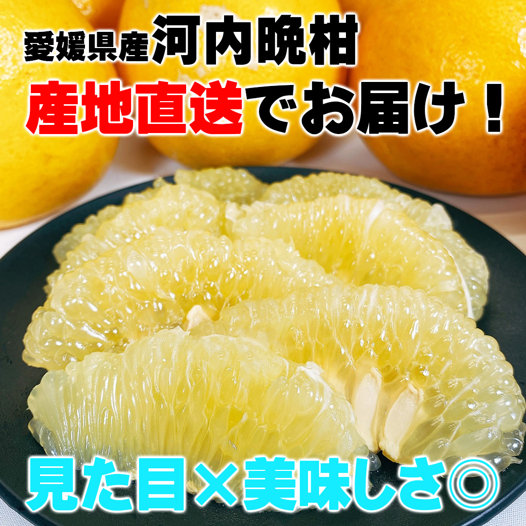 Kako様専用パール柑3L 20kg Kako様専用パール柑3L 20kg Kakoパール