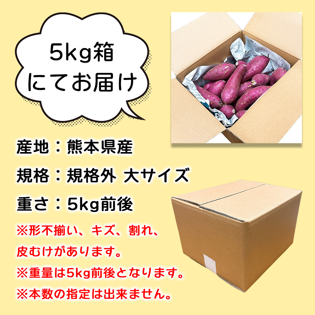 さつまいも 訳あり 5kg 中玉〜大玉 送料無料 紅はるか 熊本県産 規格外