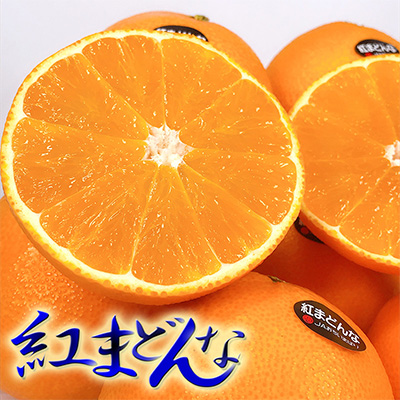 紅マドンナ 送料無料 愛媛県 紅まどんな 5kg 2Lサイズ ご家庭用 小キズ